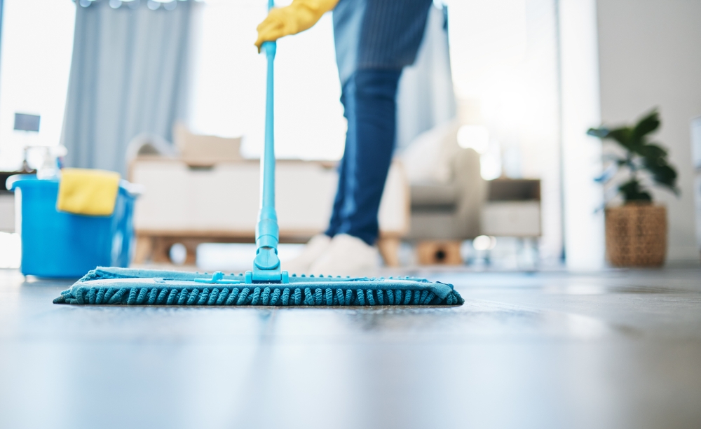What is the difference between professional cleaning and regular cleaning